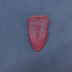 Dapper Cadaver Workshop Silicone Tongue