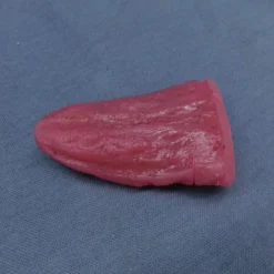 Dapper Cadaver Workshop Silicone Tongue