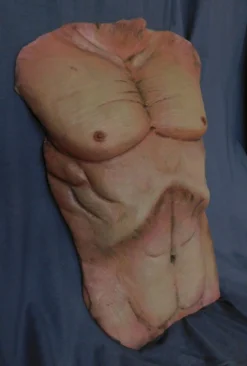 Dapper Cadaver Workshop Cadaver Torso Skin