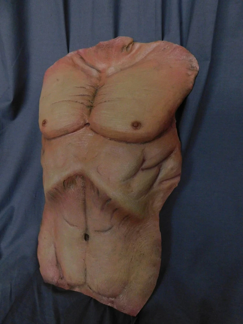 Dapper Cadaver Workshop Cadaver Torso Skin 1 Dapper Cadaver Workshop Cadaver Torso Skin