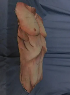 Dapper Cadaver Workshop Cadaver Torso Skin 5 Dapper Cadaver Workshop Cadaver Torso Skin