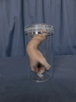 Dapper Cadaver Workshop Ergot Hand Specimen Jar