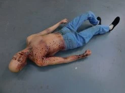 Dapper Cadaver Workshop Plague Alan Half Anatomical Dummy Wounded