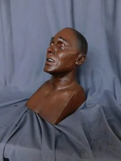 Dapper Cadaver Workshop Fake Heads Henry Head