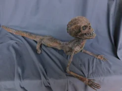 Dapper Cadaver Workshop New Haunt Props Alligator Boy Gaff