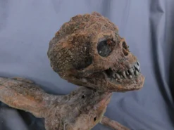 Dapper Cadaver Workshop New Haunt Props Alligator Boy Gaff