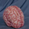 Dapper Cadaver Workshop Lifesize Brain, Silicone Rubber