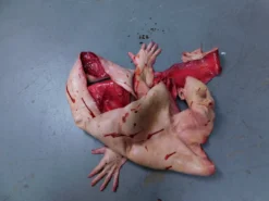 Dapper Cadaver Workshop Dura Jack Skin Miscellaneous Body Parts