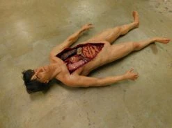 Dapper Cadaver Workshop Dura Internal Disease Autopsy Jack Body Autopsy & Medical