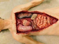 Dapper Cadaver Workshop Dura Internal Disease Autopsy Jack Body Autopsy & Medical