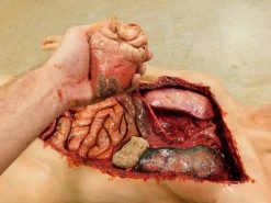 Dapper Cadaver Workshop Dura Internal Disease Autopsy Jack Body Autopsy & Medical