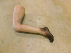 Dapper Cadaver Workshop Dura Gangrene Sonia Leg