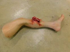 Dapper Cadaver Workshop Dura Sonia Leg With Compound Fracture