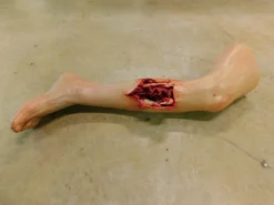 Dapper Cadaver Workshop Dura Sonia Leg With Compound Fracture