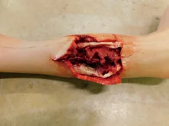 Dapper Cadaver Workshop Dura Sonia Leg With Compound Fracture