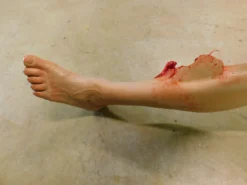 Dapper Cadaver Workshop Dura Sonia Leg With Compound Fracture