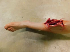 Dapper Cadaver Workshop Dura Sonia Leg With Compound Fracture