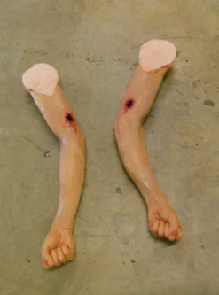 Dapper Cadaver Workshop Dura Martin Arm With Gunshot Through And Through Wounded