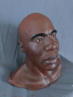 Dapper Cadaver Workshop Fake Heads Richard Head