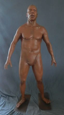 Dapper Cadaver Workshop Standing Dura Richard Body