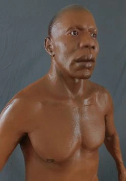 Dapper Cadaver Workshop Standing Dura Richard Body