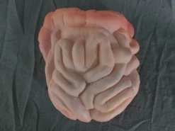 Dapper Cadaver Workshop Solid Prop Intestines