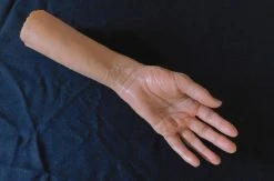 Dapper Cadaver Workshop Leslie Half Arms Fake Arms