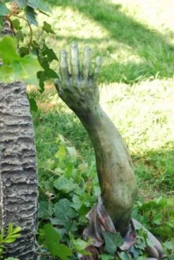 Dapper Cadaver Workshop Jack Arms - Male