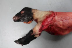 Dapper Cadaver Workshop Field Skinned Sheep