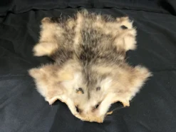 Chichester Farm Animal Props Opossum Pelt
