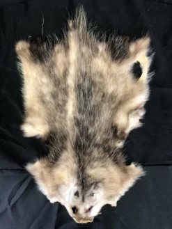 Chichester Farm Animal Props Opossum Pelt