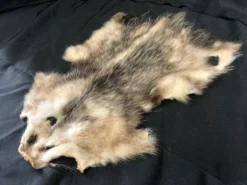 Chichester Farm Animal Props Opossum Pelt