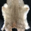 Chichester Rabbit Pelt