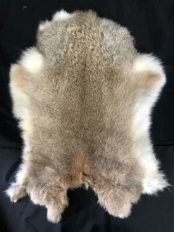 Chichester Rabbit Pelt