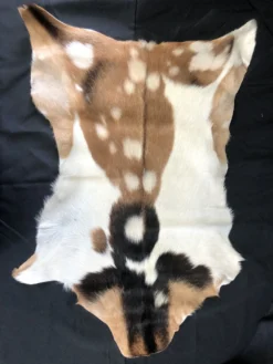 Chichester Goat Pelt Farm Animal Props