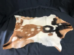 Chichester Goat Pelt Farm Animal Props