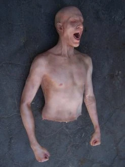 Dapper Cadaver Workshop Half Martin Body