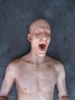 Dapper Cadaver Workshop Half Martin Body