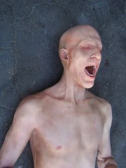 Dapper Cadaver Workshop Half Martin Body