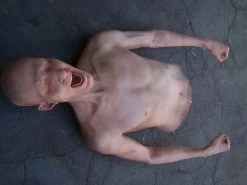 Dapper Cadaver Workshop Half Martin Body