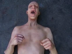 Dapper Cadaver Workshop Half Martin Body