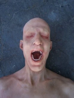 Dapper Cadaver Workshop Half Martin Body