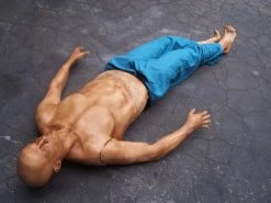 Dapper Cadaver Workshop Half Anatomical Jack Dummy