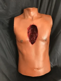 Dapper Cadaver Workshop Open Heart Surgery Joe Torso With Removable Silicone Heart 12 Dapper Cadaver Workshop Open Heart Surgery Joe Torso With Removable Silicone Heart