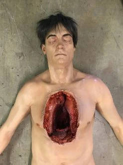 Dapper Cadaver Workshop Dura Open Heart Surgery Jack Body With Silicone Heart Autopsy & Medical