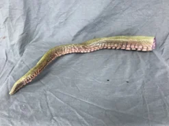 Dapper Cadaver Workshop Poseable Tentacle Prop Fantasy & Supernatural Props