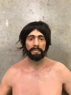 Dapper Cadaver Workshop David Full Body With Beard Lifecast Prop Bodies