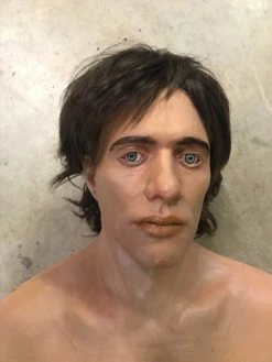 Dapper Cadaver Workshop Lifecast Prop Bodies David Full Body