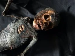 Dapper Cadaver Workshop Burn & Bomb Burnt Toddler Mummy