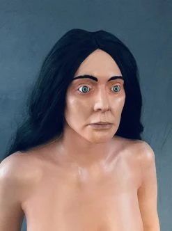 Dapper Cadaver Workshop Standing Dura Lucy Body